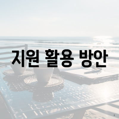 지원 활용 방안