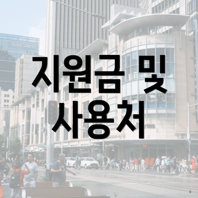 지원금 및 사용처