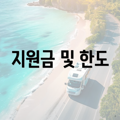 지원금 및 한도
