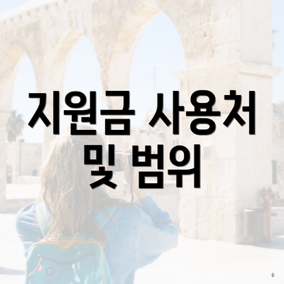 지원금 사용처 및 범위