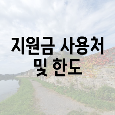 지원금 사용처 및 한도
