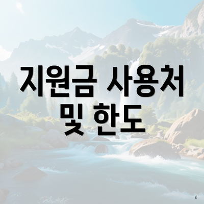 지원금 사용처 및 한도