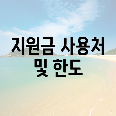 지원금 사용처 및 한도