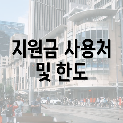 지원금 사용처 및 한도