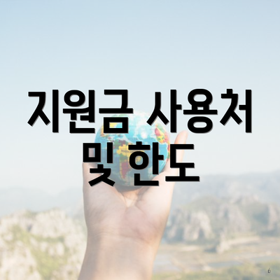 지원금 사용처 및 한도