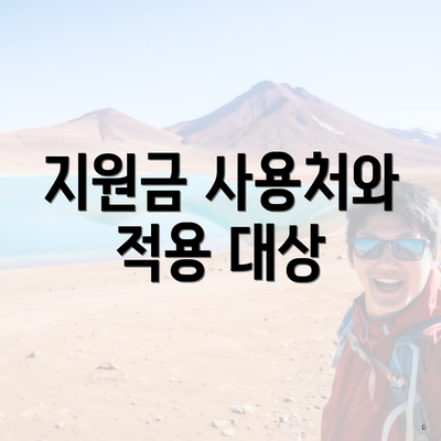 지원금 사용처와 적용 대상