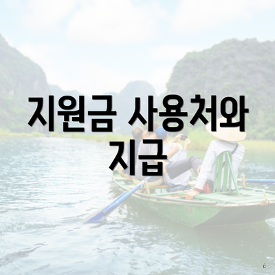 지원금 사용처와 지급