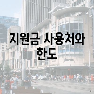 지원금 사용처와 한도