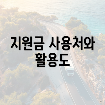 지원금 사용처와 활용도