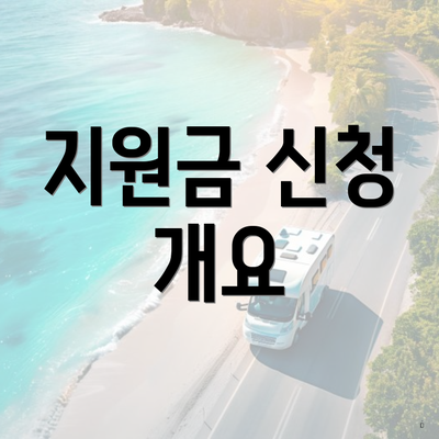 지원금 신청 개요