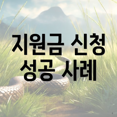 지원금 신청 성공 사례