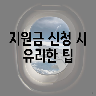 지원금 신청 시 유리한 팁