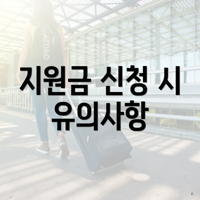 지원금 신청 시 유의사항