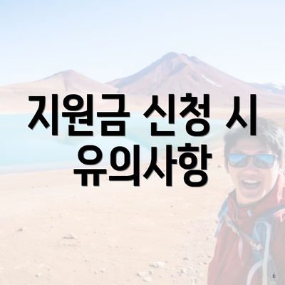 지원금 신청 시 유의사항
