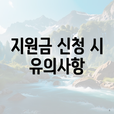 지원금 신청 시 유의사항