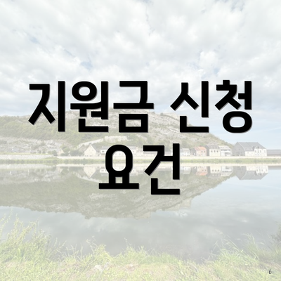 지원금 신청 요건
