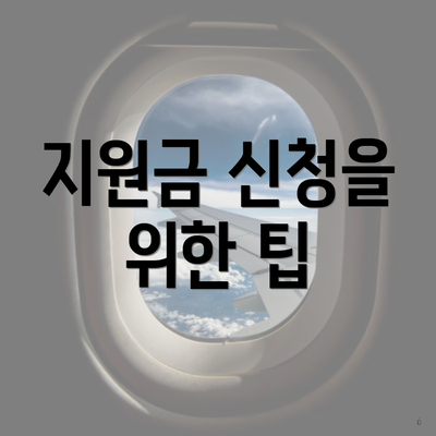 지원금 신청을 위한 팁