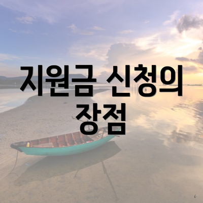 지원금 신청의 장점