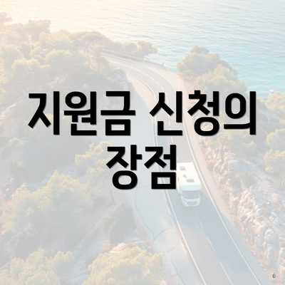 지원금 신청의 장점