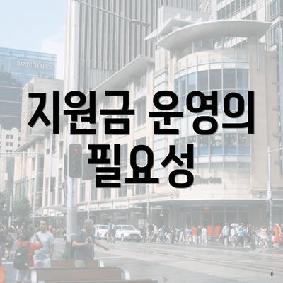 지원금 운영의 필요성