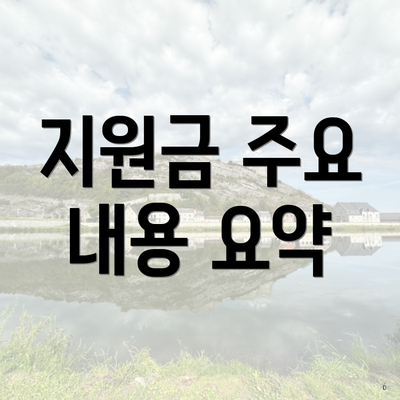 지원금 주요 내용 요약