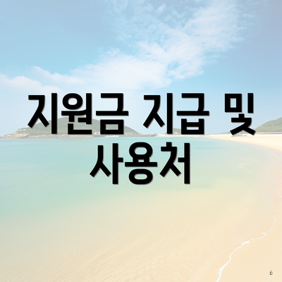 지원금 지급 및 사용처