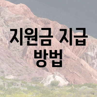 지원금 지급 방법