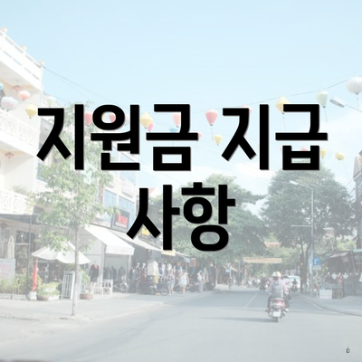 지원금 지급 사항