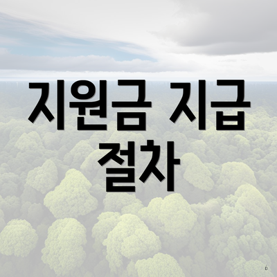 지원금 지급 절차