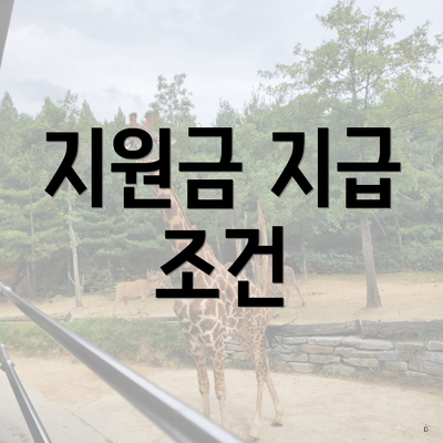 지원금 지급 조건
