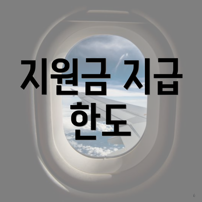 지원금 지급 한도
