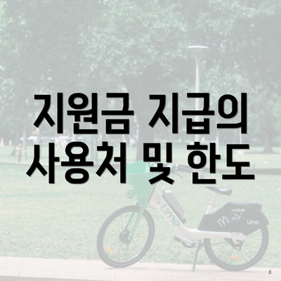 지원금 지급의 사용처 및 한도