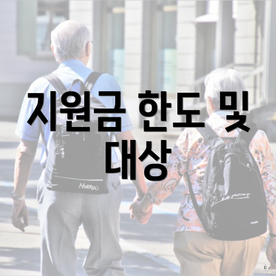 지원금 한도 및 대상