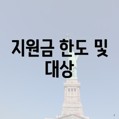 지원금 한도 및 대상