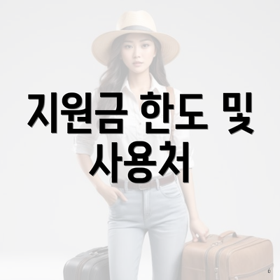 지원금 한도 및 사용처