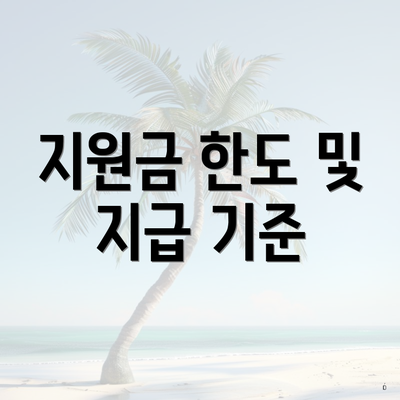 지원금 한도 및 지급 기준