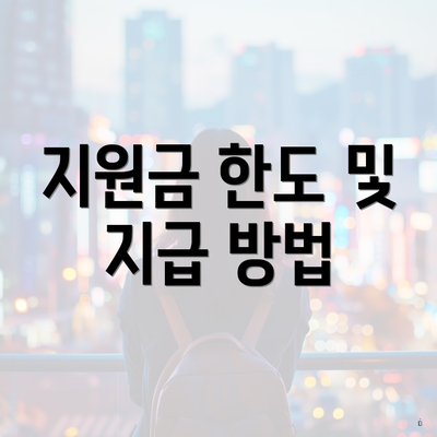 지원금 한도 및 지급 방법
