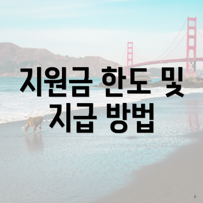 지원금 한도 및 지급 방법