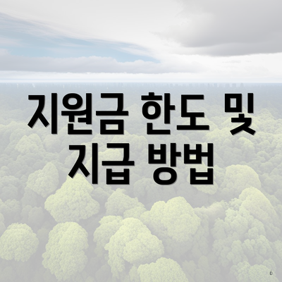 지원금 한도 및 지급 방법