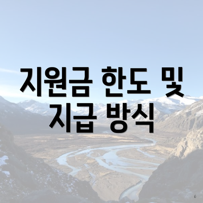 지원금 한도 및 지급 방식