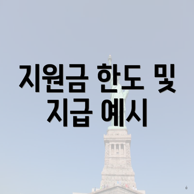 지원금 한도 및 지급 예시