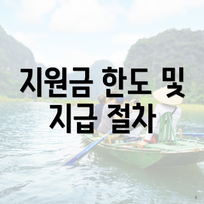 지원금 한도 및 지급 절차