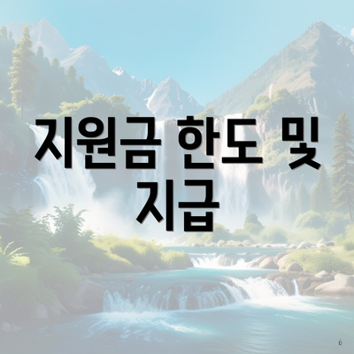지원금 한도 및 지급