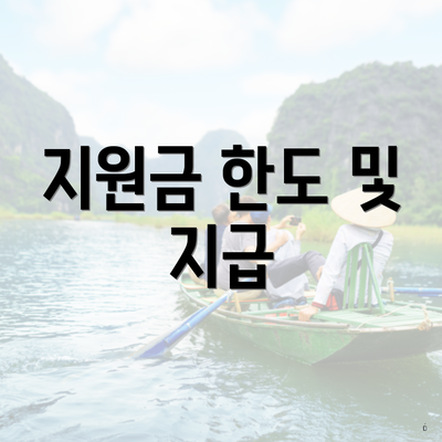 지원금 한도 및 지급