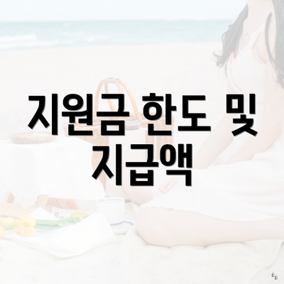 지원금 한도 및 지급액