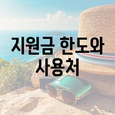 지원금 한도와 사용처