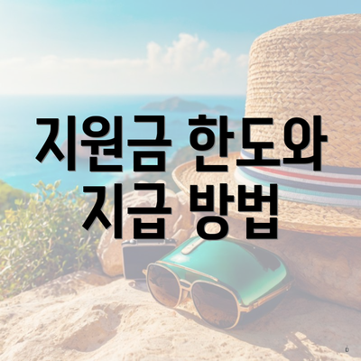 지원금 한도와 지급 방법