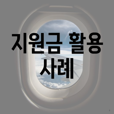 지원금 활용 사례