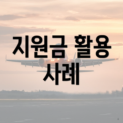 지원금 활용 사례