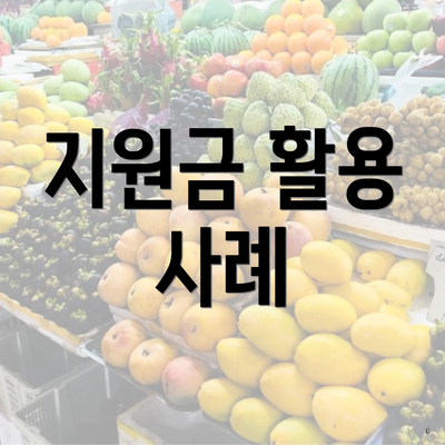 지원금 활용 사례